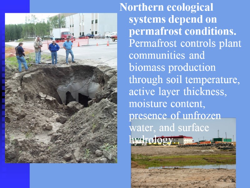 Northern ecological systems depend on permafrost conditions. Permafrost controls plant communities and biomass production